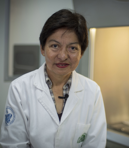 Dra. Lilia Cedillo Ramírez